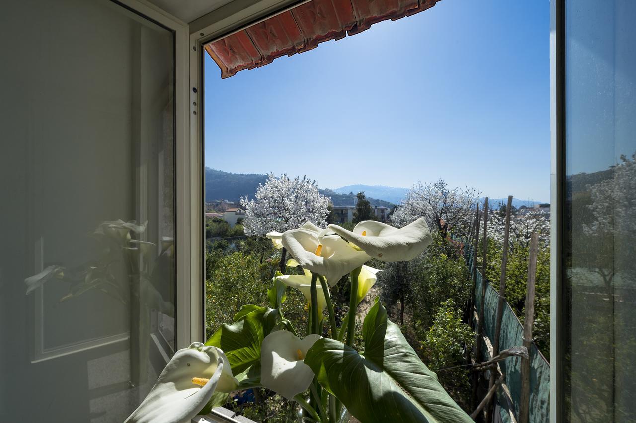 Casa Lina Villa Sant'Angelo  Kültér fotó